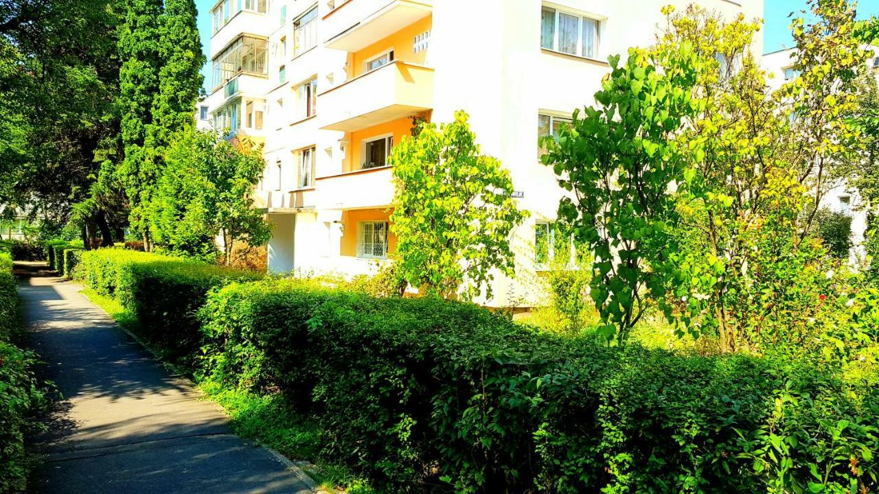 Luxury Paul Apartment Green, Private & Accessible Braşov Exteriör bild